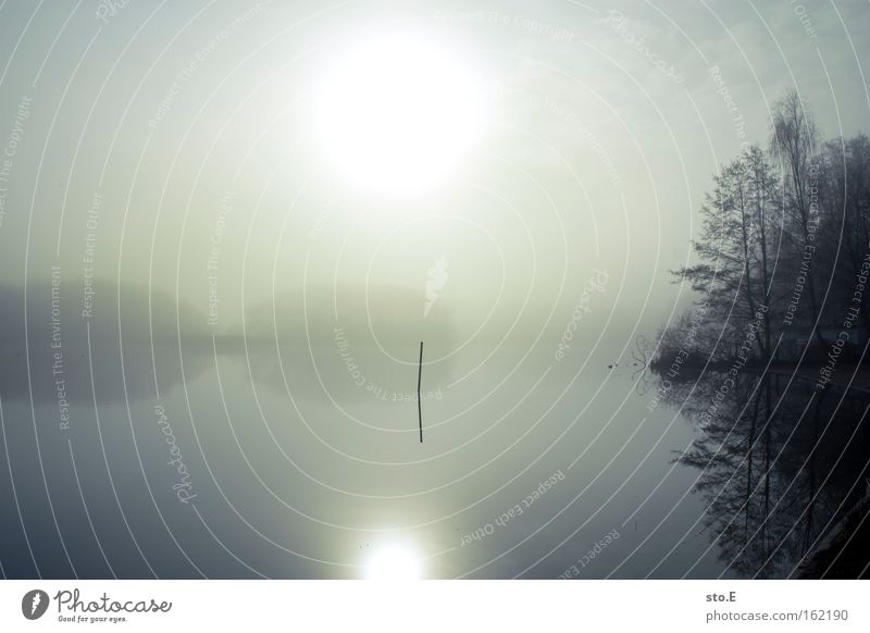 see am morgen See Sonnenaufgang Gewässer Natur Reflexion & Spiegelung Nebel Gegenlicht ruhig Stimmung Seeufer Morgen Ferien & Urlaub & Reisen Klarheit