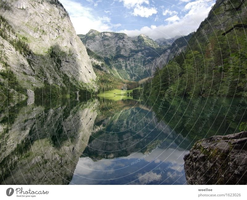 Mighty Mirror Lake Berge u. Gebirge Landschaft Wasser Schönes Wetter Baum Wald Felsen Berchtesgadener Alpen Seeufer Obersee Deutschland Europa Menschenleer