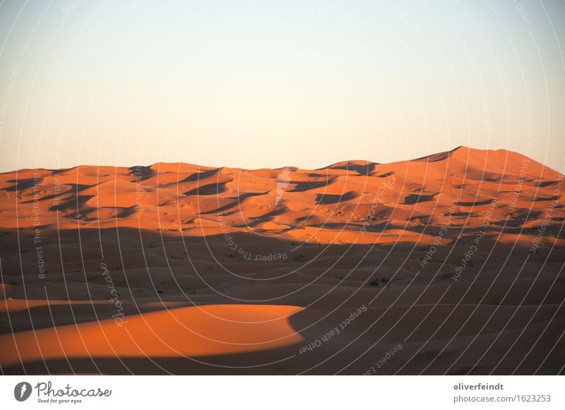 Sahara III Ferien & Urlaub & Reisen Ausflug Abenteuer Ferne Freiheit Expedition Umwelt Natur Landschaft Urelemente Erde Sand Himmel Wolkenloser Himmel Horizont