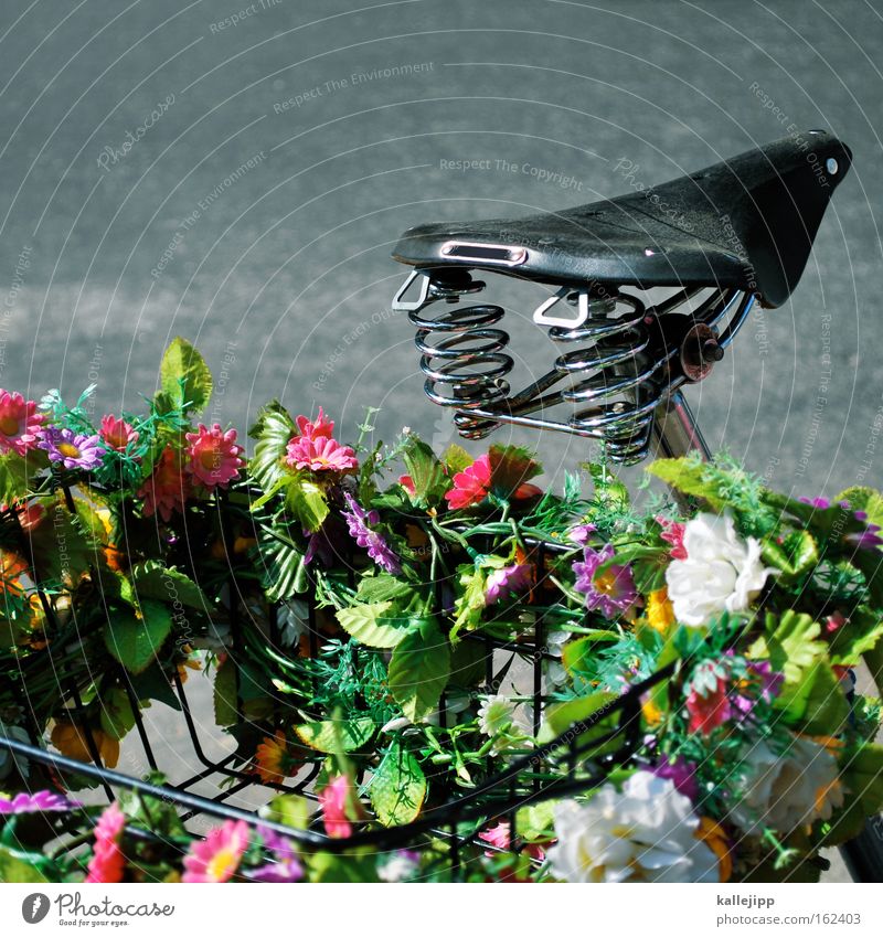 fahrt ins grüne Fahrradsattel Sattel Blume Metallfeder Dekoration & Verzierung Korb Straße Straßenverkehr Vatertag Ausflug Frühling Wachstum Blüte