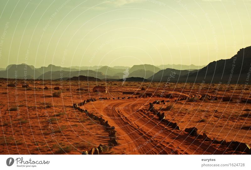 Jordaniens Wüste Umwelt Natur Landschaft Pflanze Tier Erde Sand Himmel Sonnenlicht Klima Klimawandel Wetter Felsen genießen Ferien & Urlaub & Reisen