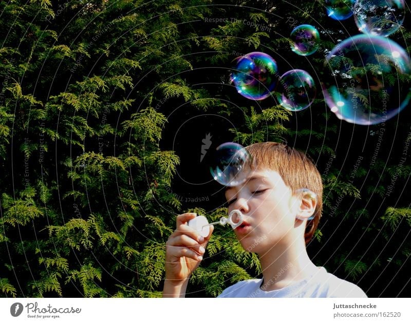Dream on Seifenblase blasen Blase Kind Kindheit Junge träumen Spielzeug glänzend Spielen platzen schön Frieden Freude Dauerbrenner Juttaschnecke