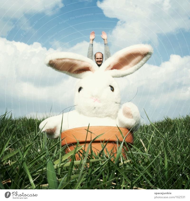 Easter Bunny comes around Ostern Osterhase Hase & Kaninchen Feiertag Blumentopf Topf Wiese Gras Tier Stofftiere Mann springen fliegen Freude