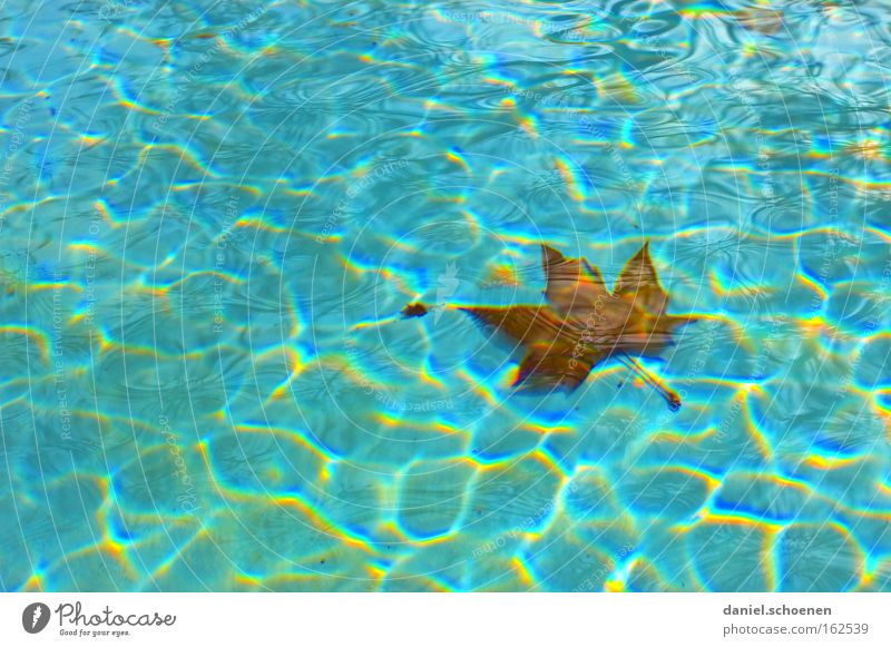 bald ist Freibadsaison Wasser blau Oberfläche Wellen Sommer Schwimmbad Blatt Hintergrundbild Im Wasser treiben