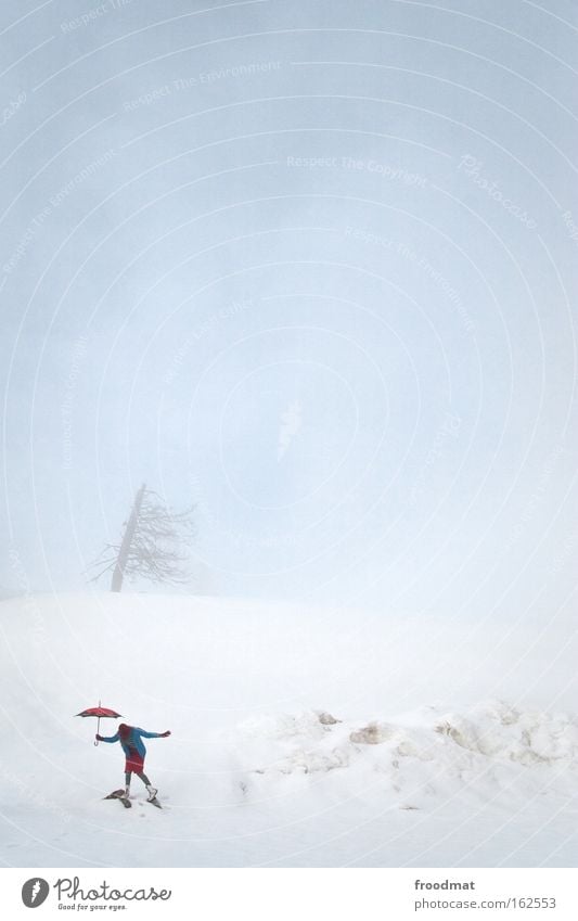 poppins Nebel Schnee Berge u. Gebirge Schweiz Regenschirm Sturm Leidenschaft kalt Winter Baum Frau Zufriedenheit Surrealismus Himmel sehr wenige kahl trist