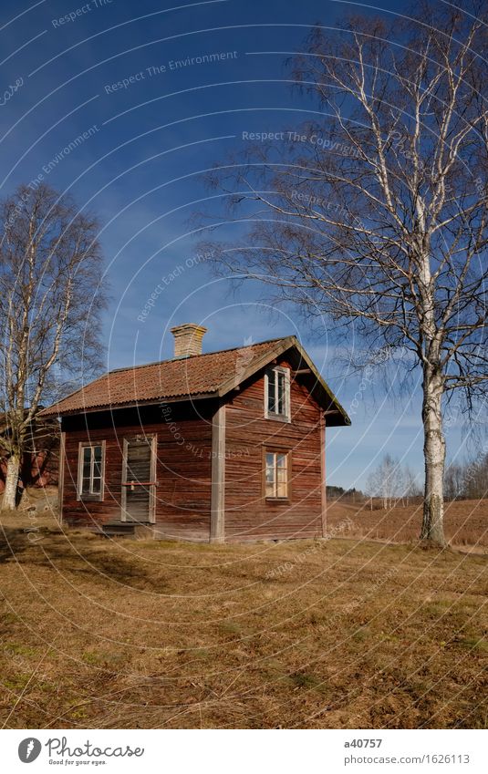 Haus verlassen Borlänge Dalarna Schweden verwohnt verrottend Baum Himmel verurteilt altes Haus herunterhängend Trakt spukhaft ländlich Haufen leer abgelegen