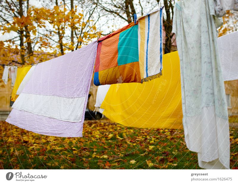 Leuchtend bunte Wäsche, die im Hof getrocknet wurde. Garten Landschaft Herbst Park Stoff hell blau gelb rot Farbe Leinen farbenfroh Hinterhof Hintergrund