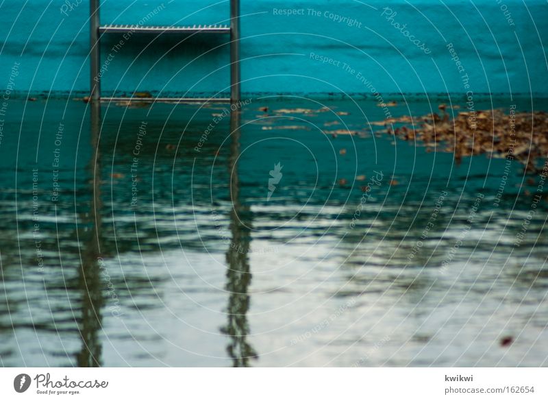 kindheitserinnerung Freibad Schwimmbad Leiter Wasser nass tauchen Blatt Verfall Zeit verfallen Algen dreckig Vergänglichkeit