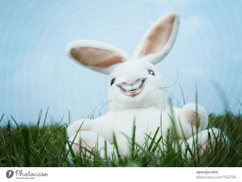 Zum Totlachen Hase & Kaninchen Ostern verrückt Gras Nest Osterei Freude freaky Rasen Ohr Osterhase
