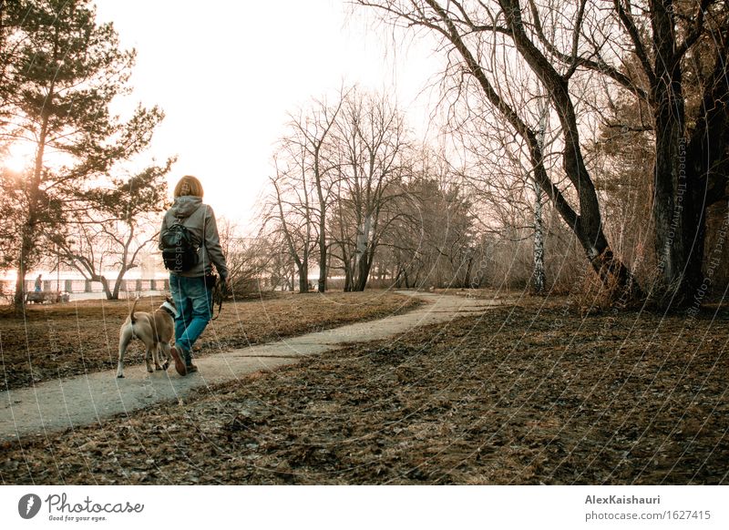 Junge Frau geht mit ihrem Hund am Abendpark. Lifestyle Ferien & Urlaub & Reisen Ausflug Abenteuer Freiheit Städtereise Mensch Jugendliche 1 18-30 Jahre