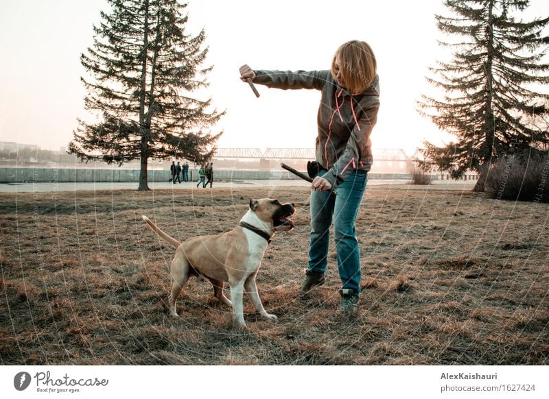 Junge Frau spielt mit ihrem Hund am Abendpark. Lifestyle Ferien & Urlaub & Reisen Ausflug Freiheit Städtereise Sommer Sonne Jugendliche 1 Mensch 18-30 Jahre