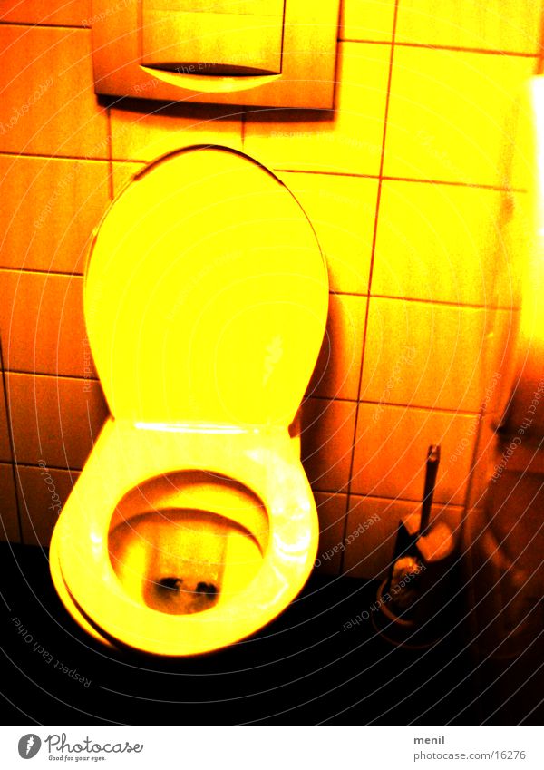 toilettenflash Nachtleben Bedürfnisse obskur Toilette Wasser
