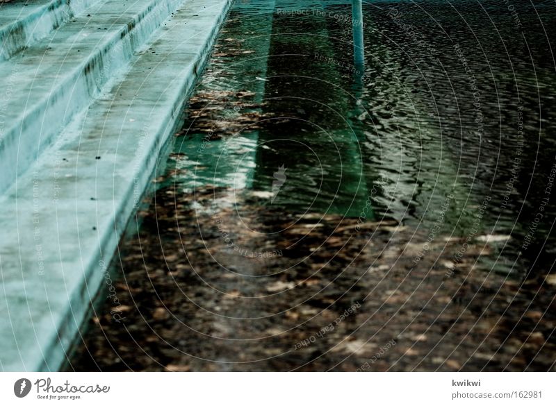 pool III Freibad Schwimmbad Leiter Wasser nass tauchen Blatt Verfall Zeit verfallen Algen dreckig Vergänglichkeit Spielen