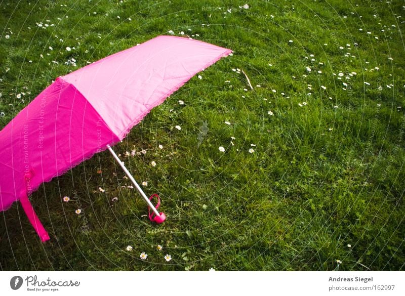 [Harusaki|DD] Pink auf Grün Regenschirm Sonnenschirm Wiese Gras grün rosa Sommer Frühling Leichtigkeit Gänseblümchen Freude Freizeit & Hobby