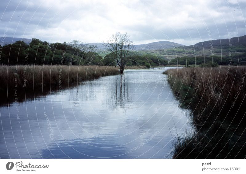 Friedliche Landschaft in Irland Bach Baum grün Reflexion & Spiegelung Wolken Schilfgras Berge u. Gebirge blau bedecken Idylle ruhig Friedvoll