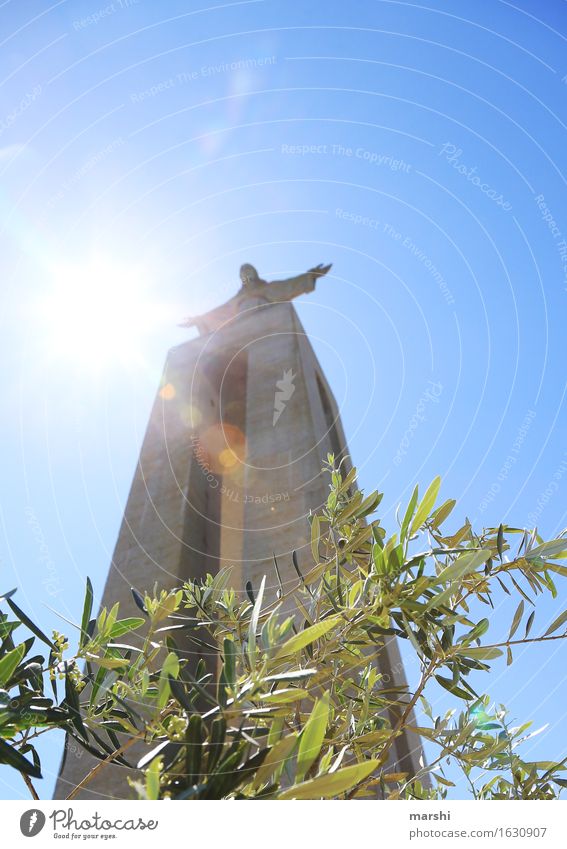 Criso Rei Religion & Glaube Denken Statue Lissabon Jesus Christus Sehenswürdigkeit hoch Höhe Gegenlicht Sonne hell strahlend Olivenbaum Portugal Christentum