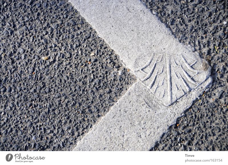 profiliert Straßenbelag Strukturen & Formen rau Verbundenheit Reifenprofil profilieren Fußspur Muster Reifenspuren Pfeil einfach Verkehrswege Begrenzungslinien
