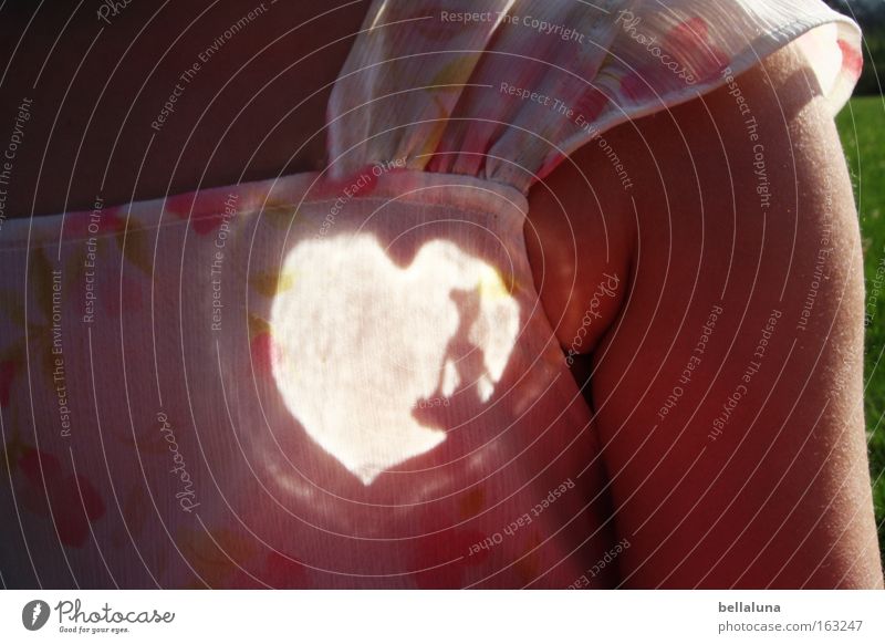 Prima-Ballerina-Herz Kind schön Leidenschaft Licht Schatten Reflexion & Spiegelung Sonnenlicht Kleid Arme Tierhaut Lichteffekt herzförmig Blumenmuster