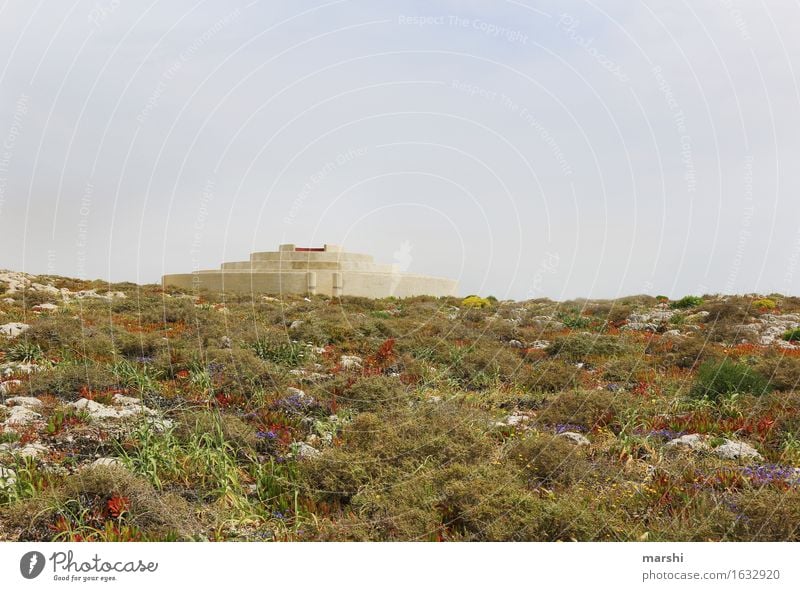 Labyrinth Kunstwerk Stimmung Portugal Reisefotografie Wiese Ferne Ferien & Urlaub & Reisen außergewöhnlich Sehenswürdigkeit außerirdisch Farbfoto Außenaufnahme
