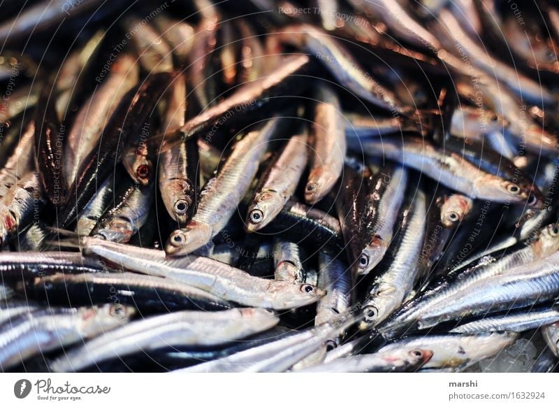 Sardellen Tier Totes Tier Fisch Stimmung Portugal Markt sardellen Sardinen fischig klein Fischmarkt Algarve lecker Lebensmittel Ernährung Gesunde Ernährung