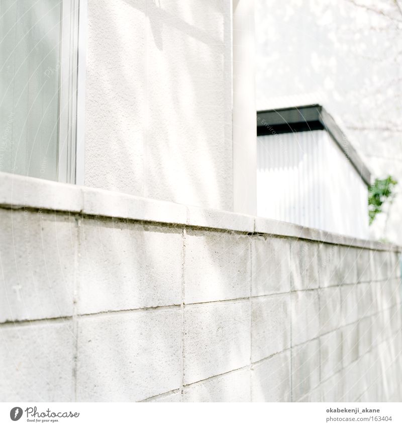 albino #5 Tokyo Schererei Quadrat Filmindustrie Licht Luft Japan Stimmungsbild weiß bleich