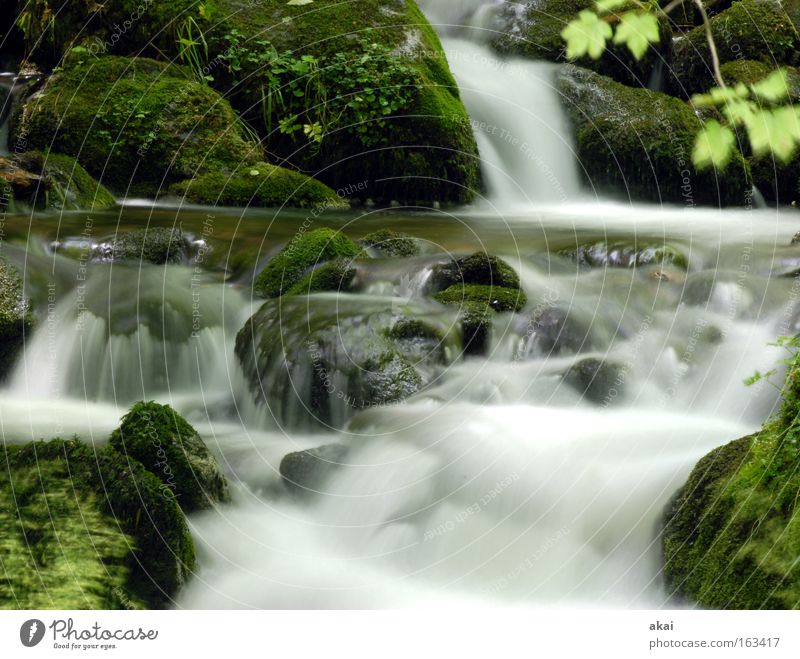 Rauschen Wasserfall Wildbach Bach Langzeitbelichtung weich Fluss graufilter Schwarzwald Wildwasser Gebirgsfluß Gischt Strömung reißend Dreisam Naturschutzgebiet