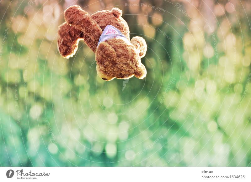 Teddy Per im Höhenflug Spielen Freiheit Trampolin Natur Teddybär fliegen Flugangst Bewegung sportlich Fröhlichkeit kuschlig niedlich mehrfarbig Freude Glück