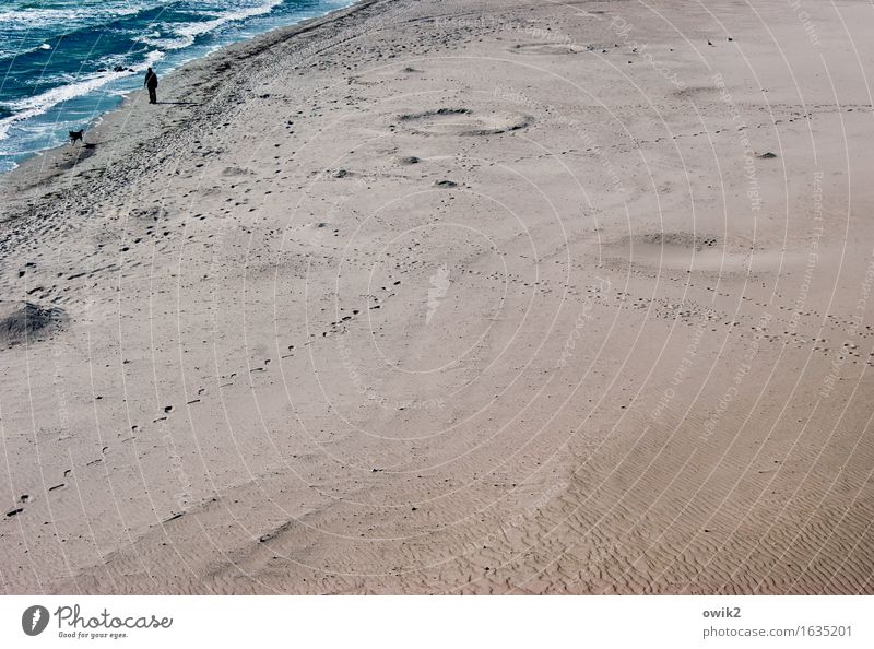 Gassi gehen Freizeit & Hobby Spaziergang Mann Erwachsene 1 Mensch Umwelt Natur Landschaft Sand Wasser Klima Schönes Wetter Strand Ostsee Hund genießen laufen