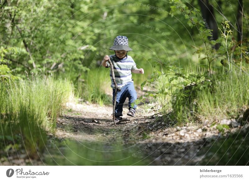 Wandersmann 1 Lifestyle Spielen Ausflug Abenteuer Sommer wandern Kind Kleinkind Junge Natur Landschaft Lebensfreude Mütze Wanderstock Wald Farbfoto