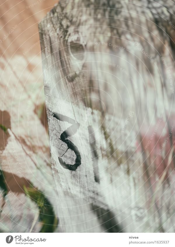 31 30-45 Jahre Erwachsene Kunstwerk Umwelt Holz Zeichen Schriftzeichen Ziffern & Zahlen Schilder & Markierungen Graffiti Streifen entdecken zeichnen schwarz