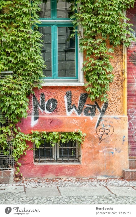 No Way Grünpflanze Wilder Wein Berlin Haus Bauwerk Gebäude Mauer Wand Fassade Fenster Schriftzeichen Graffiti Stadt grün orange Wachstum bewachsen