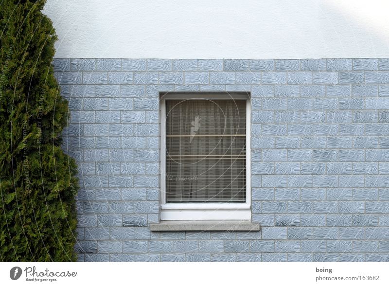 Titelassistent schlägt "Fenster" vor Haus Dorf Vorgarten Vorhang Scheinzypresse Fensterbrett Fliesen u. Kacheln Pflanze