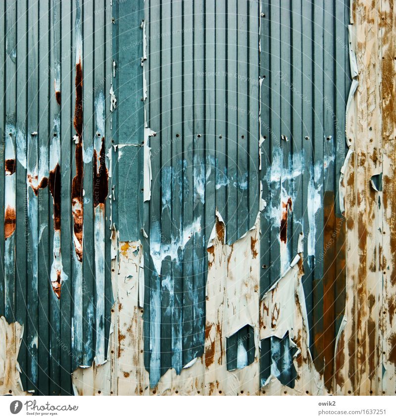 Abziehbild Metall Verfall Vergänglichkeit Zerstörung mehrfarbig Tor Blech Farbfoto Außenaufnahme Detailaufnahme abstrakt Muster Strukturen & Formen Menschenleer
