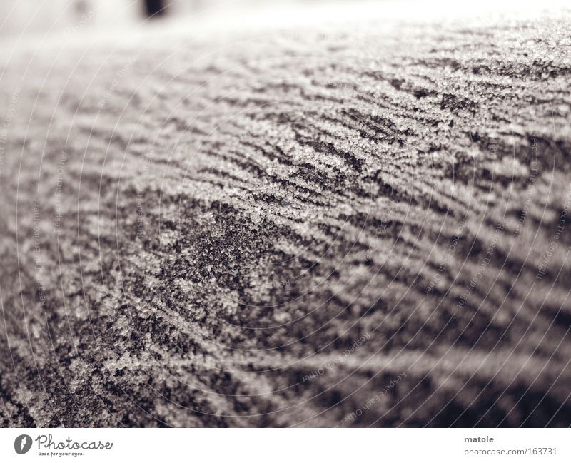 frostgewächs I Nahaufnahme Detailaufnahme Makroaufnahme Winter Dekoration & Verzierung Skulptur Eis Frost Mantel Kristalle ästhetisch hell kalt grau Schutz