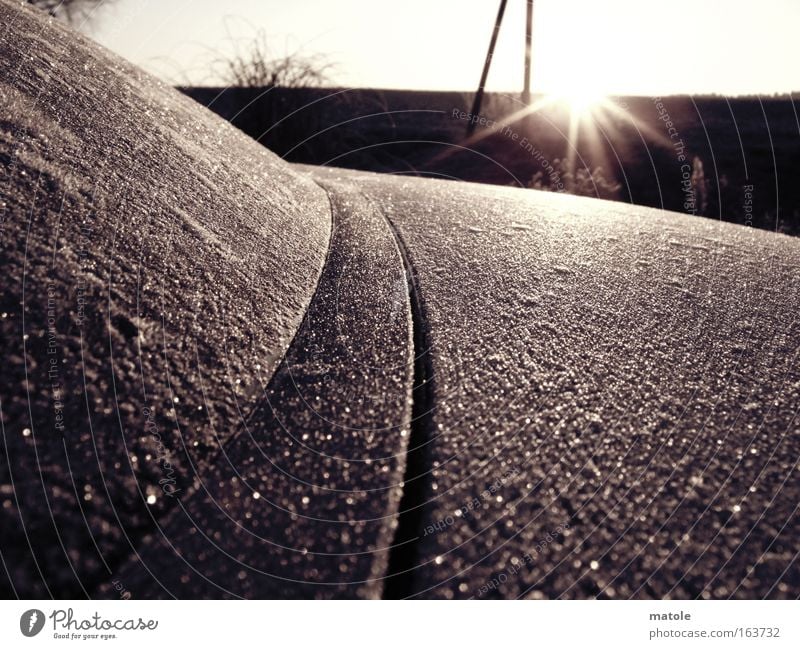 frostgewächs II Nahaufnahme Detailaufnahme Makroaufnahme Sonnenaufgang Sonnenuntergang Winter Dekoration & Verzierung Horizont Eis Frost Mantel ästhetisch kalt
