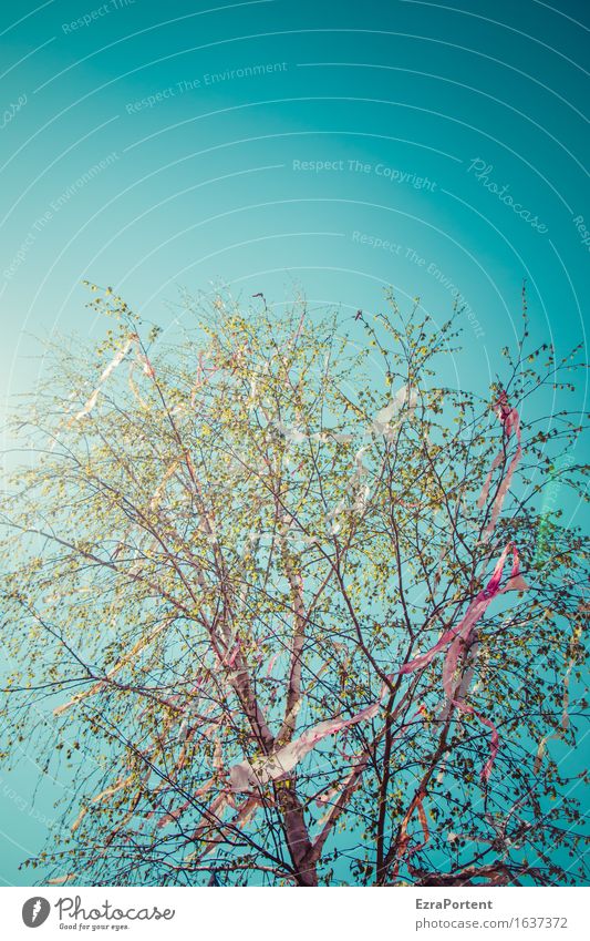 Himmel Mai Baum Geflatter Umwelt Natur Wolkenloser Himmel Sonne Frühling ästhetisch hell blau grün rot Maibaum Lametta Dekoration & Verzierung Girlande flattern