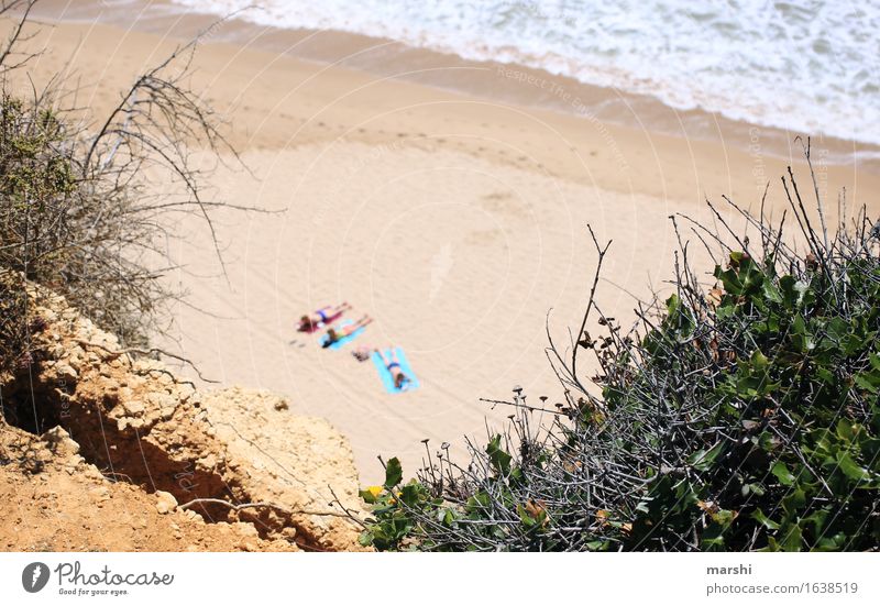 Strandtag Freizeit & Hobby Mensch 3 Natur Landschaft Pflanze Küste Meer Gefühle Stimmung spannen Schwimmen & Baden Portugal Algarve Ferien & Urlaub & Reisen