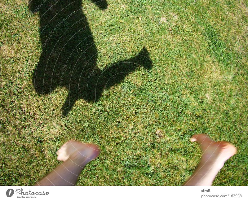 Ich kann fliegen Farbfoto Außenaufnahme Tag Schatten Sonnenlicht Bewegungsunschärfe Vogelperspektive Blick nach unten Glück Gras springen Grünfläche Fuß Boden