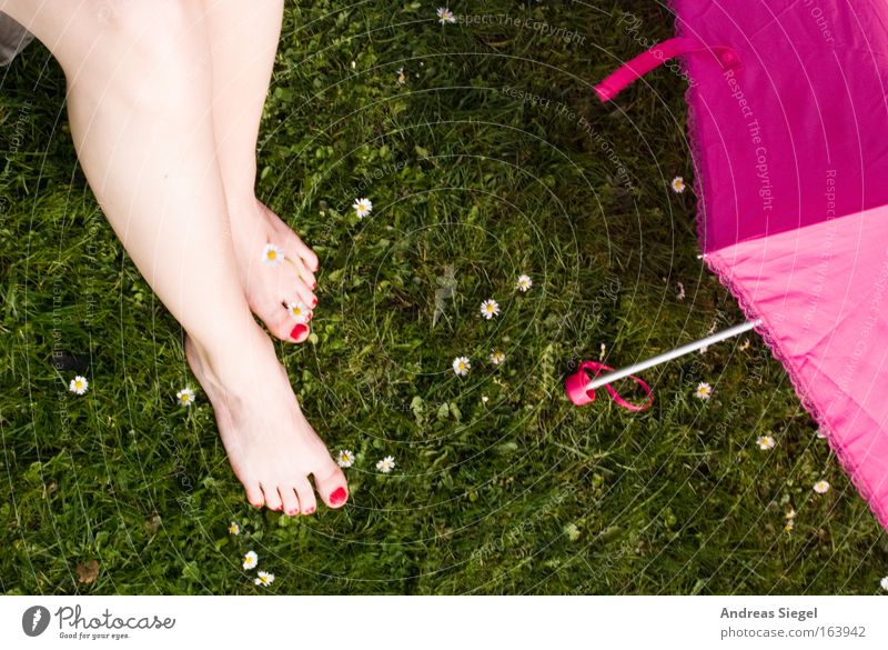 [Harusaki|DD] Pink zu pink zu grün Farbfoto Außenaufnahme Tag feminin Beine Fuß Zehennagel Frühling Gänseblümchen Park Wiese Regenschirm Schirm Erholung