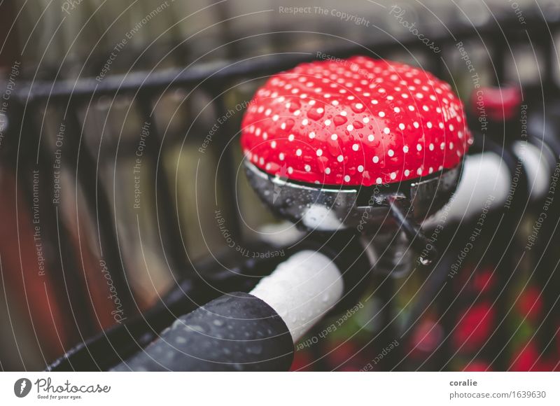 Die kleinen Freuden Fahrradfahren nass Fahrradklingel Fahrradlenker Punkt gepunktet rot weiß Fliegenpilz mehrfarbig Herbst Tropfen Regen schön Lichtblick