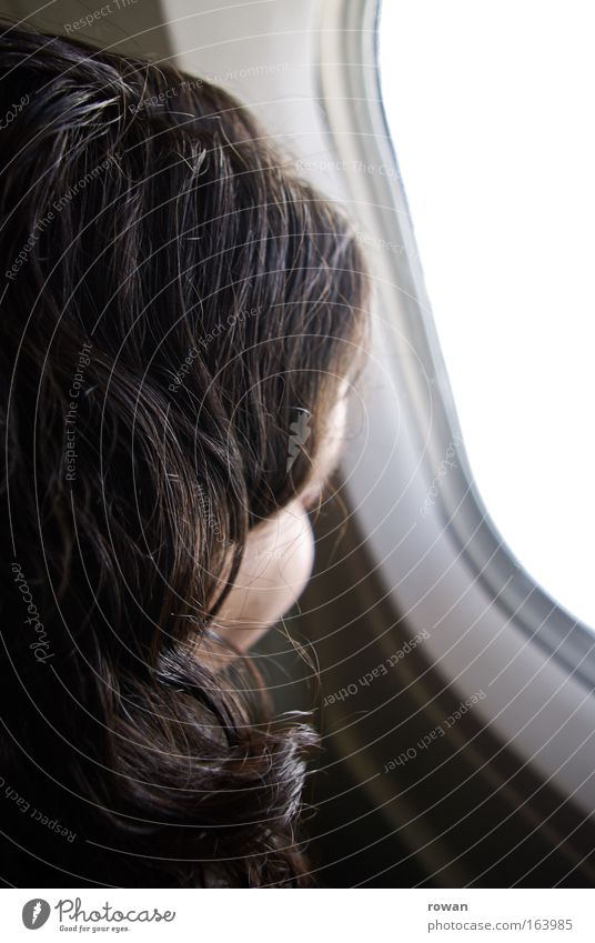 aussicht Innenaufnahme Textfreiraum rechts Rückansicht feminin Junge Frau Jugendliche Erwachsene Haare & Frisuren 1 Mensch Luftverkehr Flugzeug