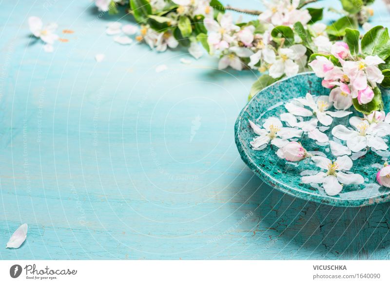 Aroma-Schale mit Wasser und weißen Blüten Stil Design Gesundheit Wellness Meditation Duft Kur Spa Dekoration & Verzierung Natur Pflanze Frühling Blume Blatt