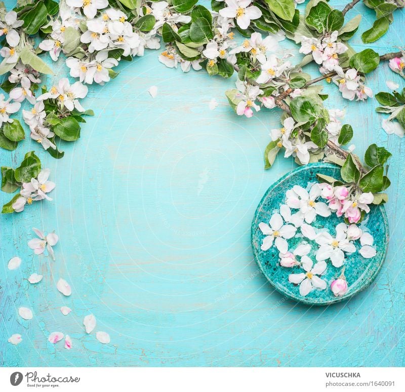 Spa oder Wellness Hintergrund mit Blüten und Wasserschale Stil schön Körperpflege Wohlgefühl Sinnesorgane Erholung Meditation Duft Kur Sommer einrichten