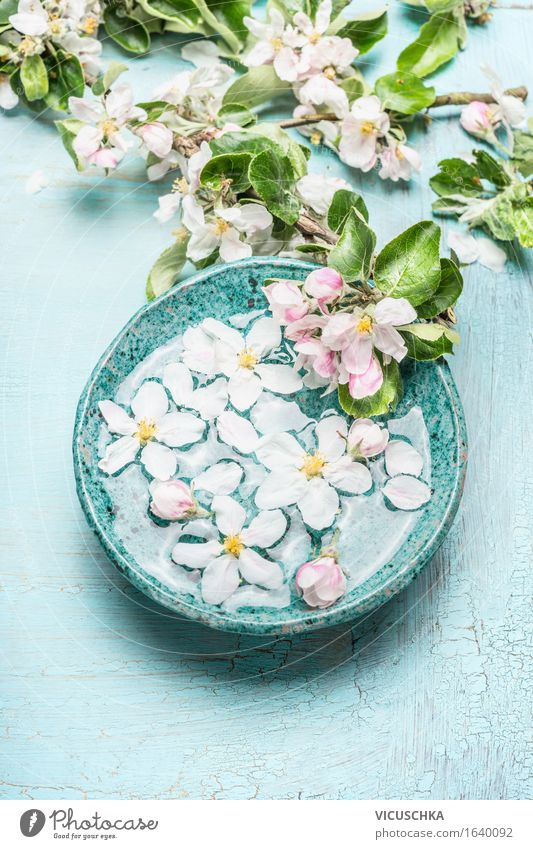Schwimmende Blumen in türkisblauem Schüssel Stil Design schön Körperpflege Kosmetik Gesundheit Alternativmedizin Wellness Leben Wohlgefühl Sinnesorgane Erholung