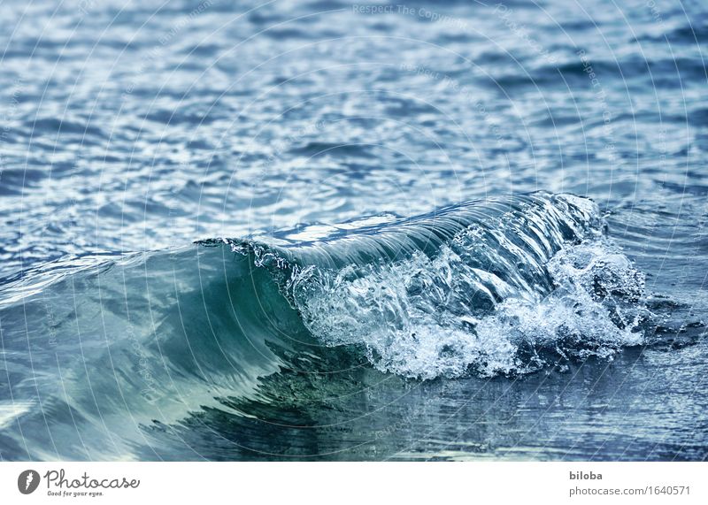 Welle im kristallklaren Wasser bricht am Seeufer Wellen Wellenbruch blau weiß ästhetisch Kraft Wasserkraftwerk Farbfoto Außenaufnahme Strukturen & Formen