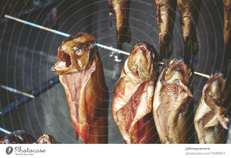 Fischköppe Lebensmittel Angeln Meer Tier Wasser Totes Tier Tiergruppe Grill Rost Rauch Essen hängen verkaufen bedrohlich Ekel gruselig maritim Völlerei gefräßig