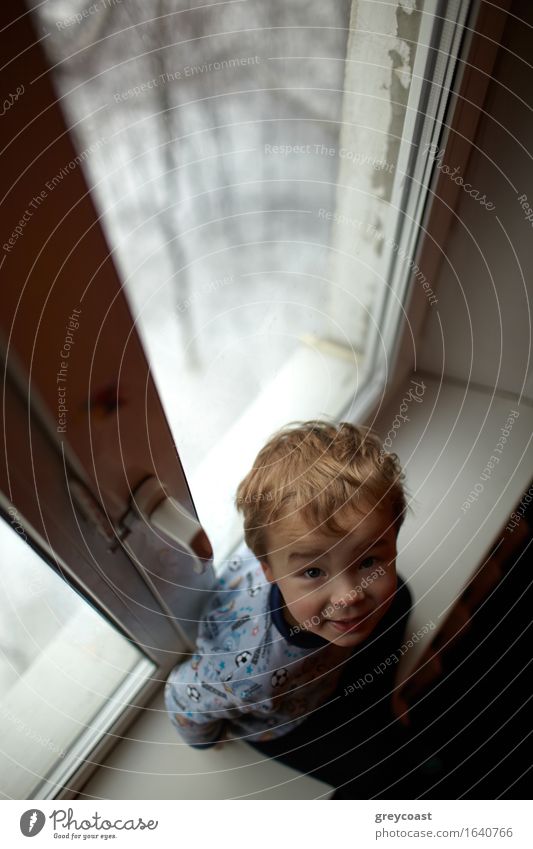 Lächelnder zweijähriger Junge sitzt auf der Fensterbank und schaut in die Kamera. Winter Kind Baby Kleinkind Mann Erwachsene Kindheit Körper 1 Mensch 1-3 Jahre