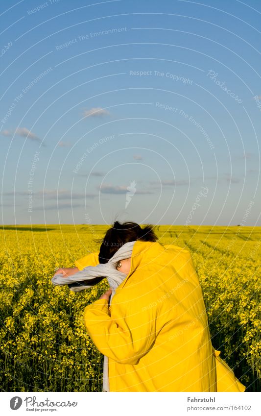 Auf dem Rappsfeld Farbfoto Außenaufnahme Textfreiraum oben Tag Starke Tiefenschärfe Himmel Jacke Fröhlichkeit blau gelb Glück