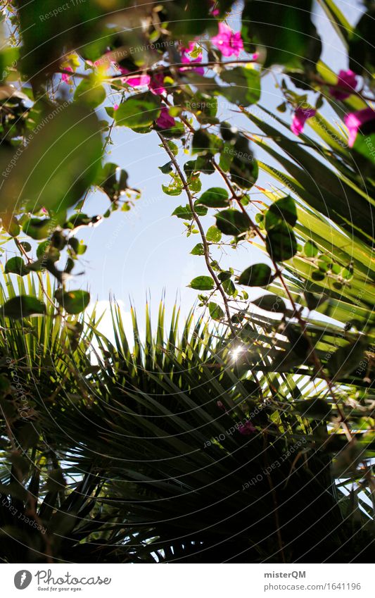 Aus dem Dschungel I Umwelt Natur ästhetisch Urwald Blätterdach Farn Palme Palmenwedel grün ursprünglich Süden Sommer Sommerurlaub Urlaubsfoto Blauer Himmel