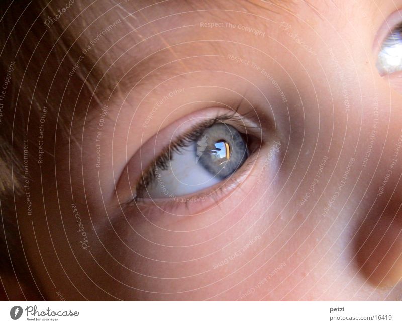 Kindlicher Augenblick Haare & Frisuren Gesicht blau Wange Farbfoto mehrfarbig Außenaufnahme Detailaufnahme Zentralperspektive Blick nach vorn